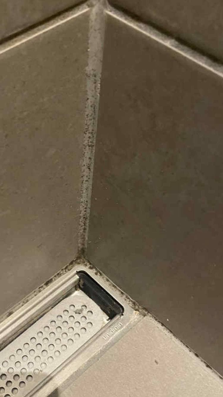 Tech startup hovedkontor